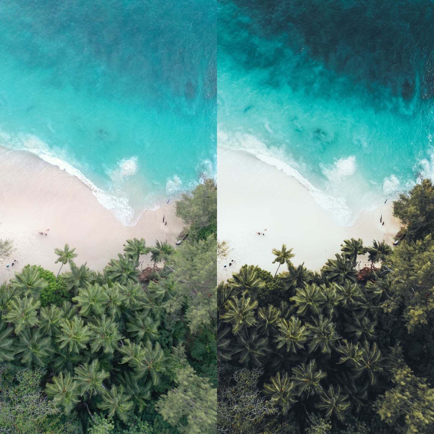 tropical presets